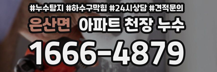 은산면 아파트 천장 누수