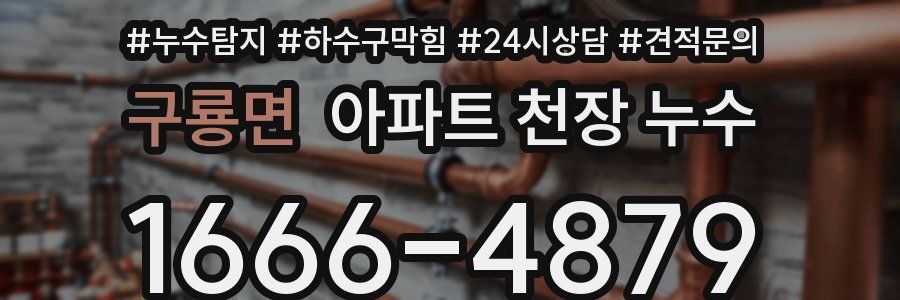 구룡면 아파트 천장 누수