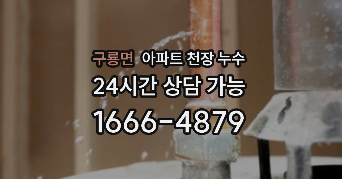 구룡면 아파트 천장 누수