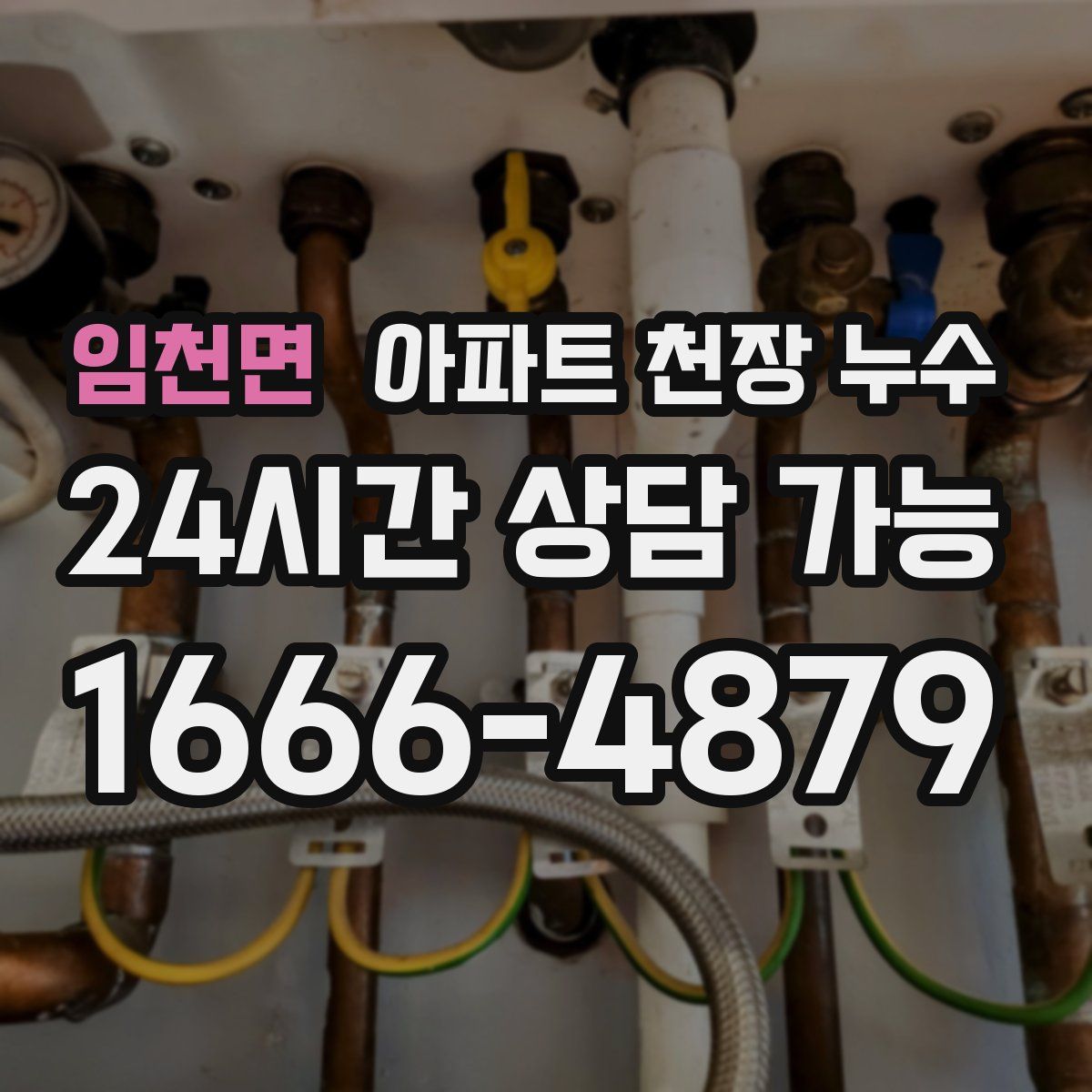 임천면 아파트 천장 누수