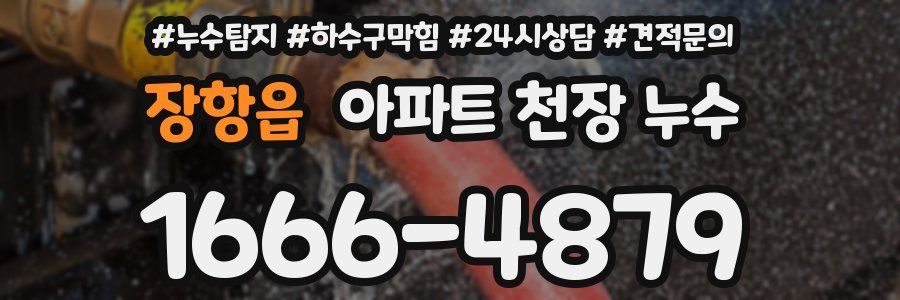장항읍 아파트 천장 누수