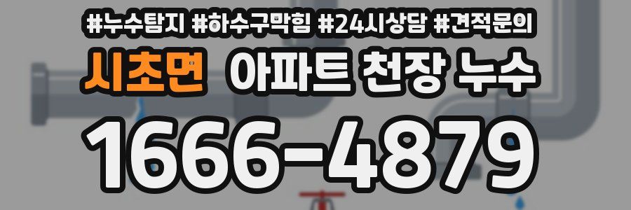 시초면 아파트 천장 누수