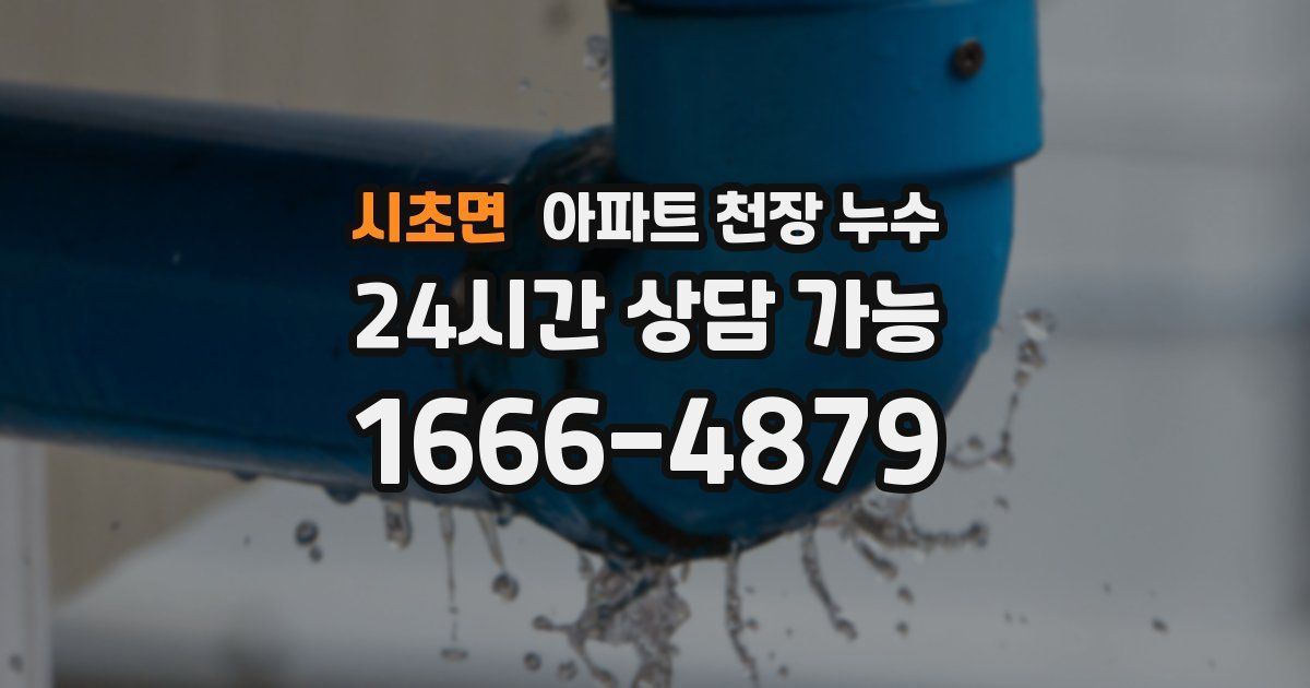 시초면 아파트 천장 누수
