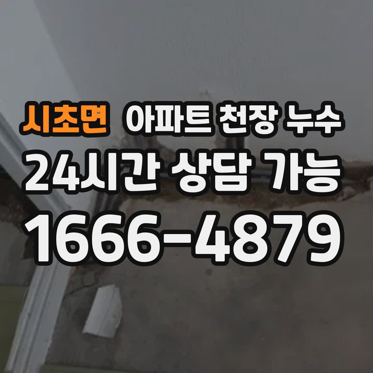 시초면 아파트 천장 누수