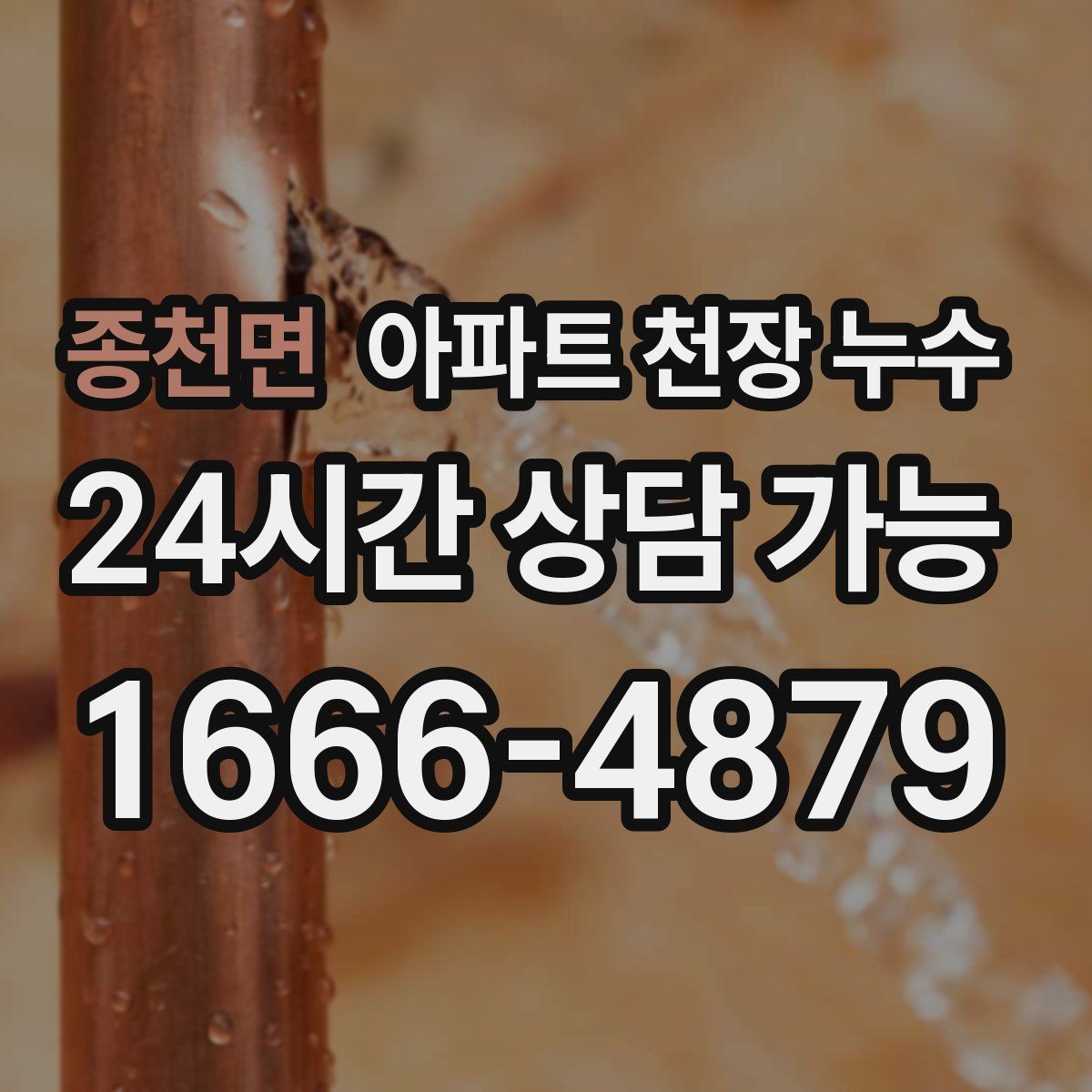 종천면 아파트 천장 누수