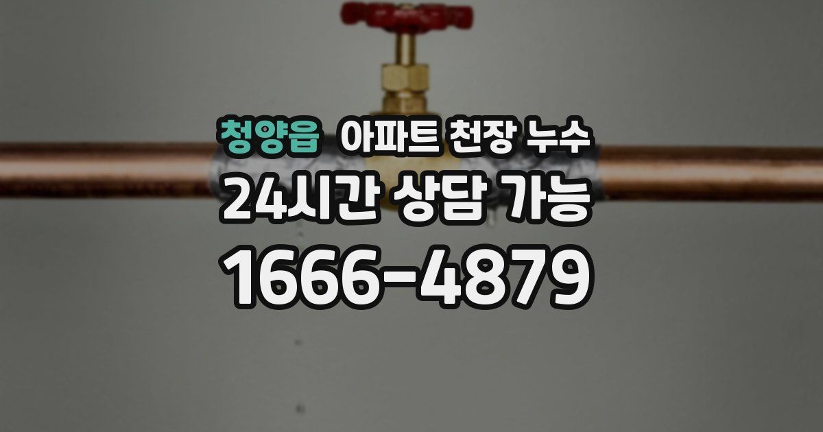 청양읍 아파트 천장 누수