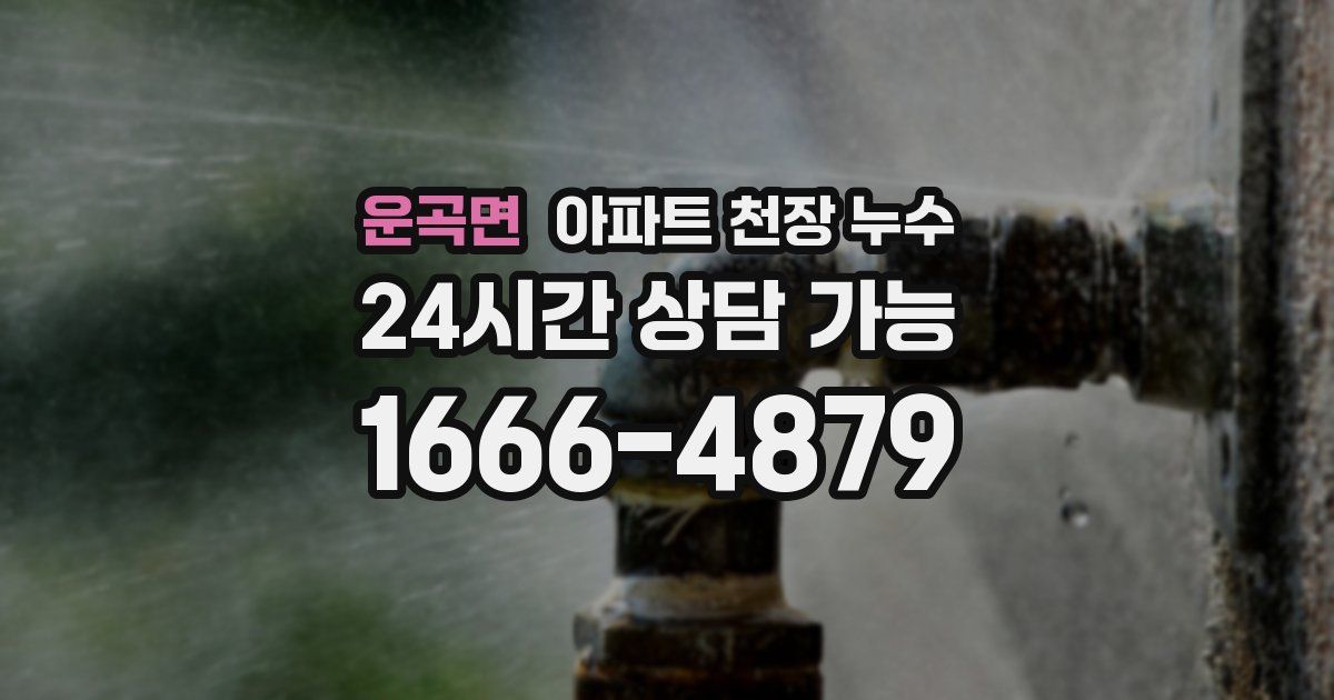 운곡면 아파트 천장 누수