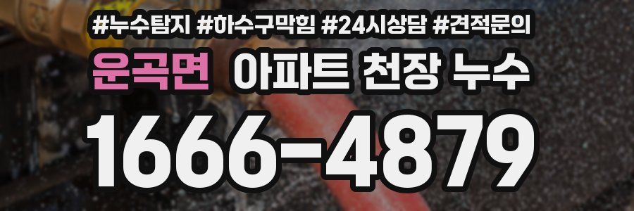 운곡면 아파트 천장 누수