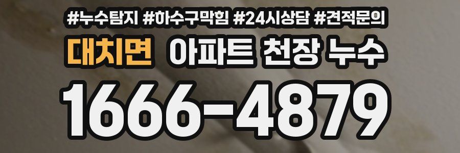 대치면 아파트 천장 누수