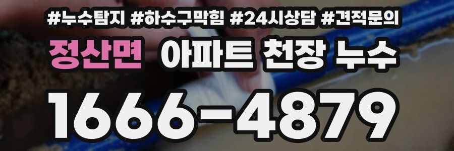 정산면 아파트 천장 누수