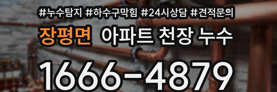 장평면 아파트 천장 누수