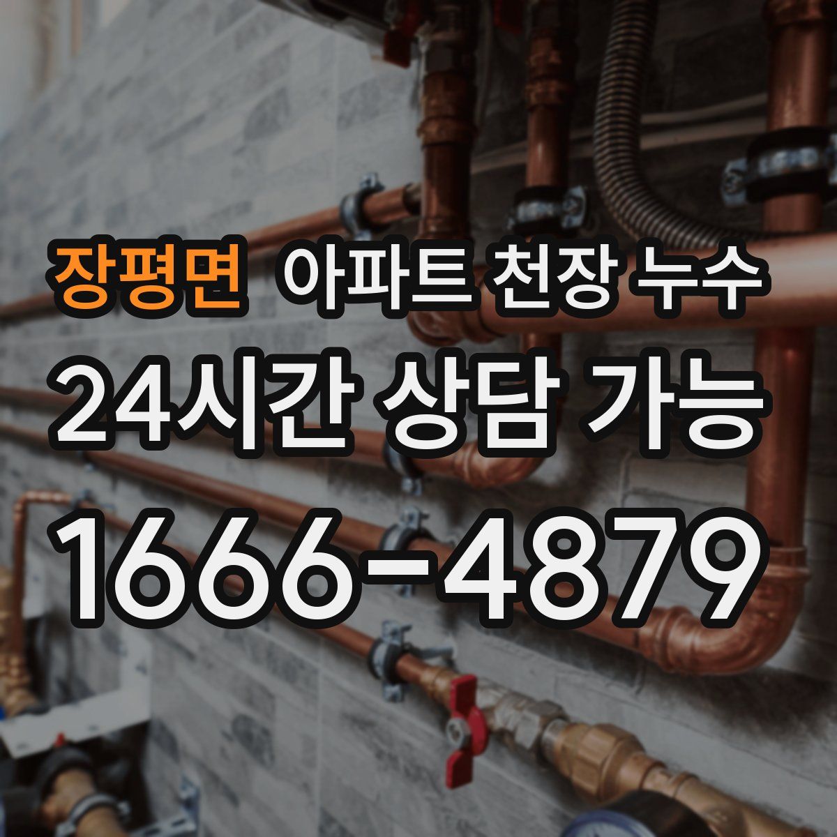 장평면 아파트 천장 누수