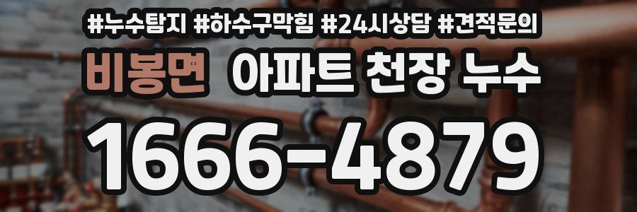 비봉면 아파트 천장 누수