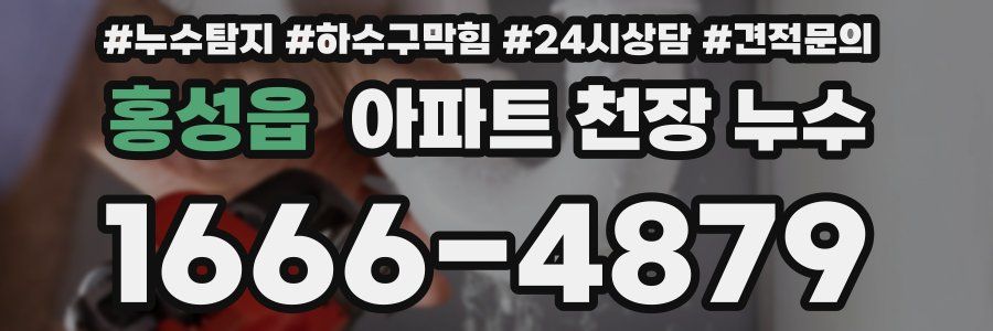 홍성읍 아파트 천장 누수
