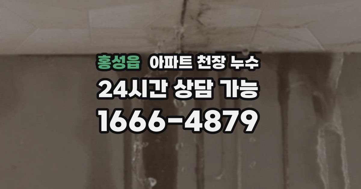 홍성읍 아파트 천장 누수