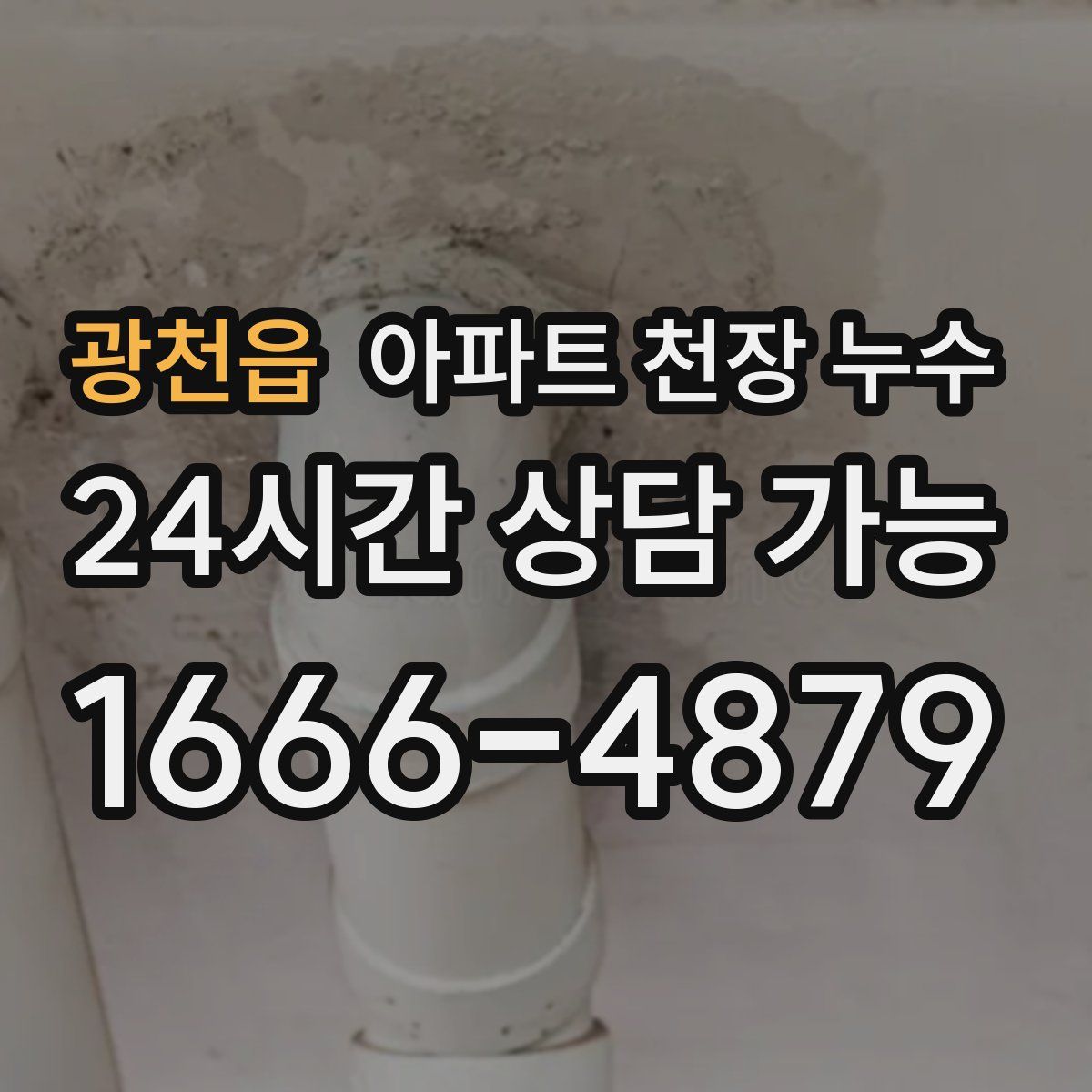 광천읍 아파트 천장 누수