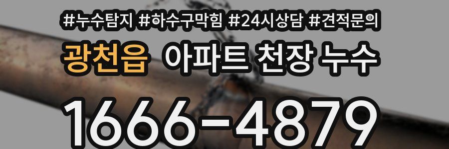 광천읍 아파트 천장 누수