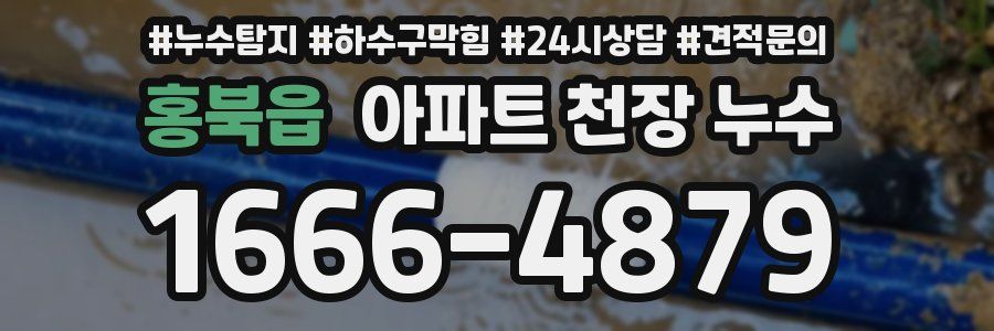 홍북읍 아파트 천장 누수
