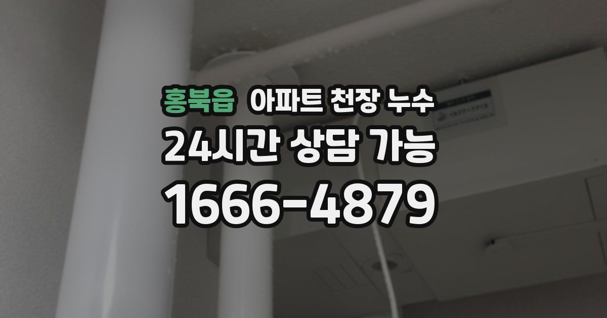 홍북읍 아파트 천장 누수