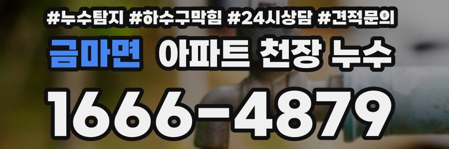 금마면 아파트 천장 누수