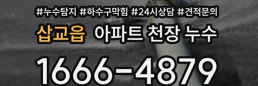 삽교읍 아파트 천장 누수