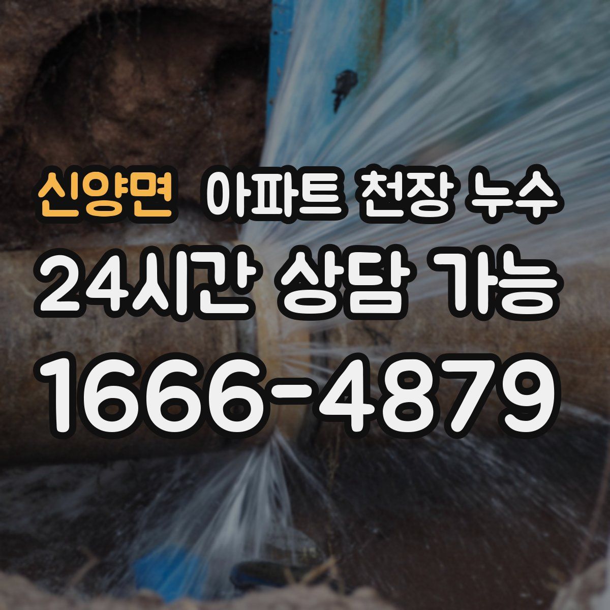 신양면 아파트 천장 누수