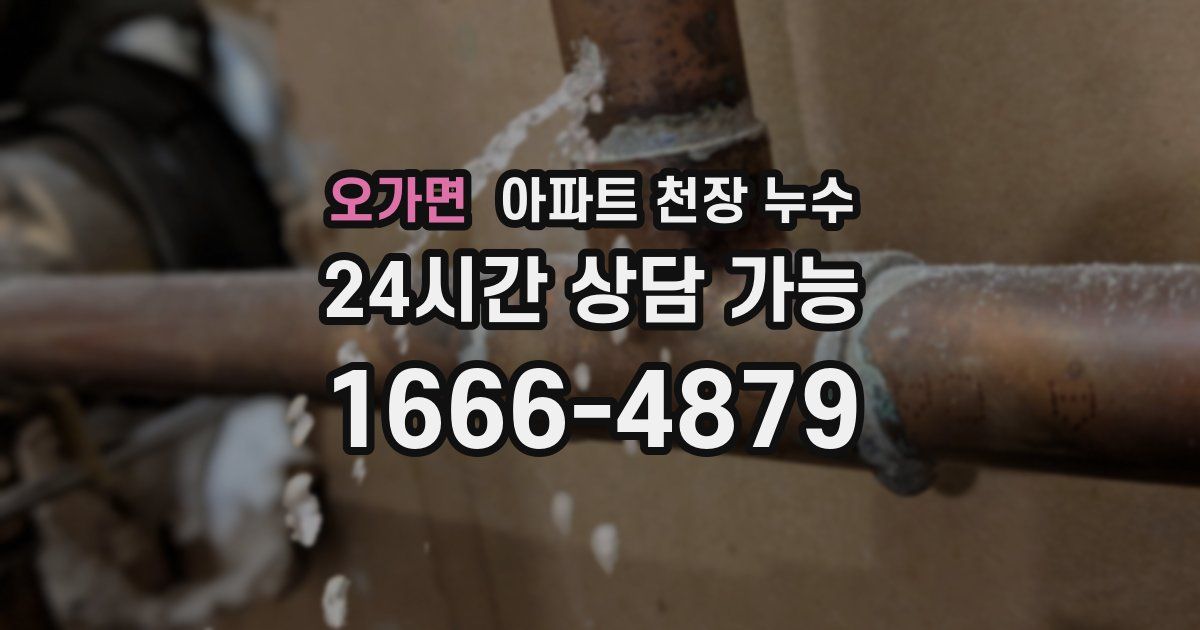 오가면 아파트 천장 누수