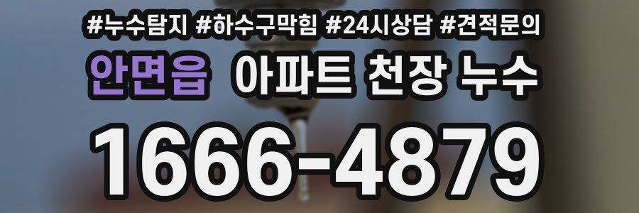 안면읍 아파트 천장 누수