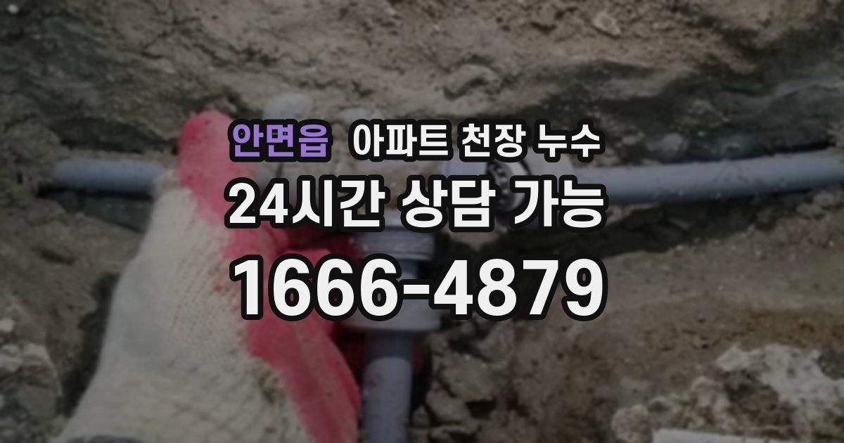 안면읍 아파트 천장 누수