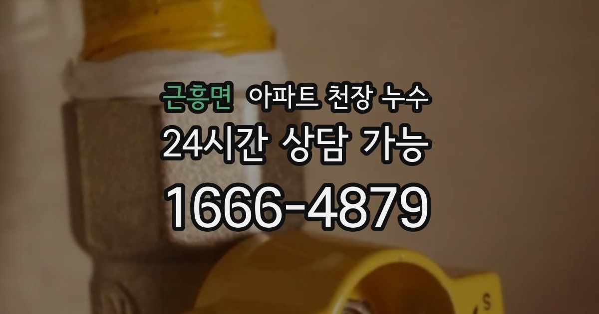 근흥면 아파트 천장 누수