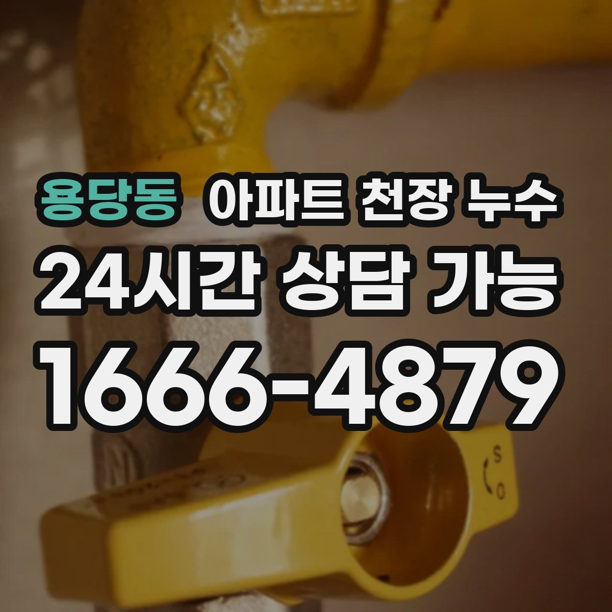 용당동 아파트 천장 누수