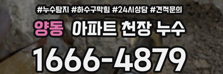양동 아파트 천장 누수