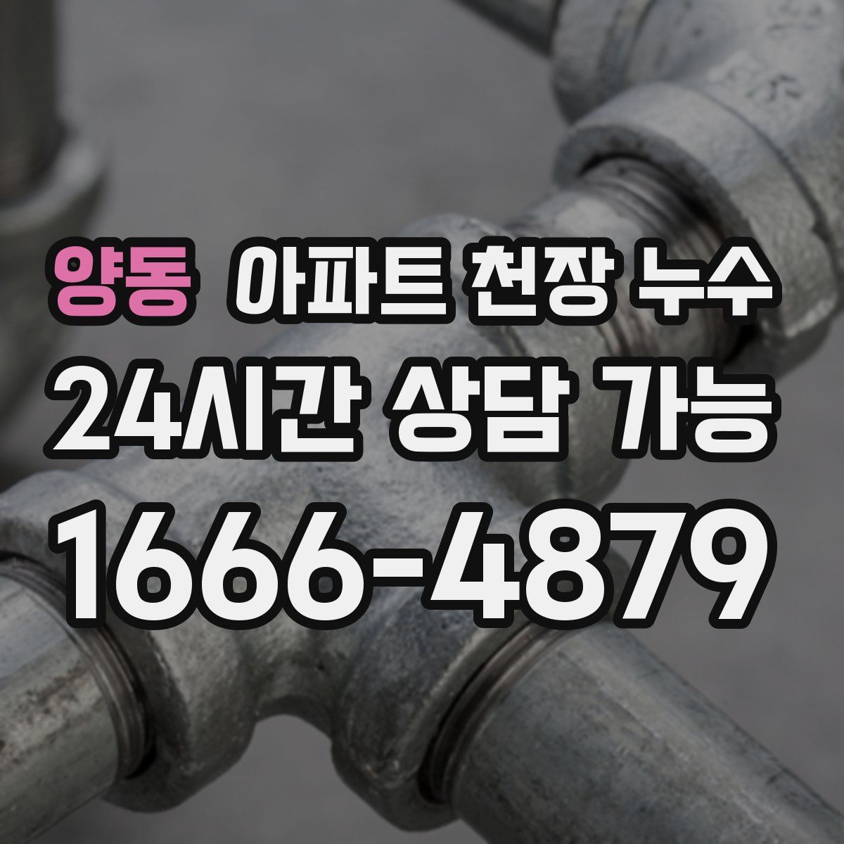 양동 아파트 천장 누수