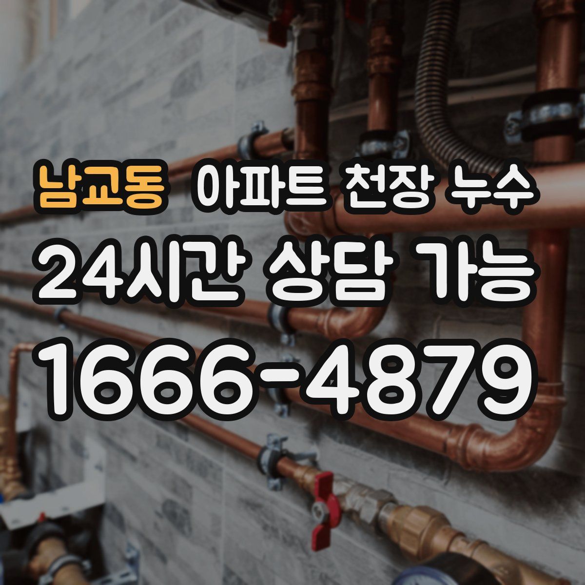 남교동 아파트 천장 누수