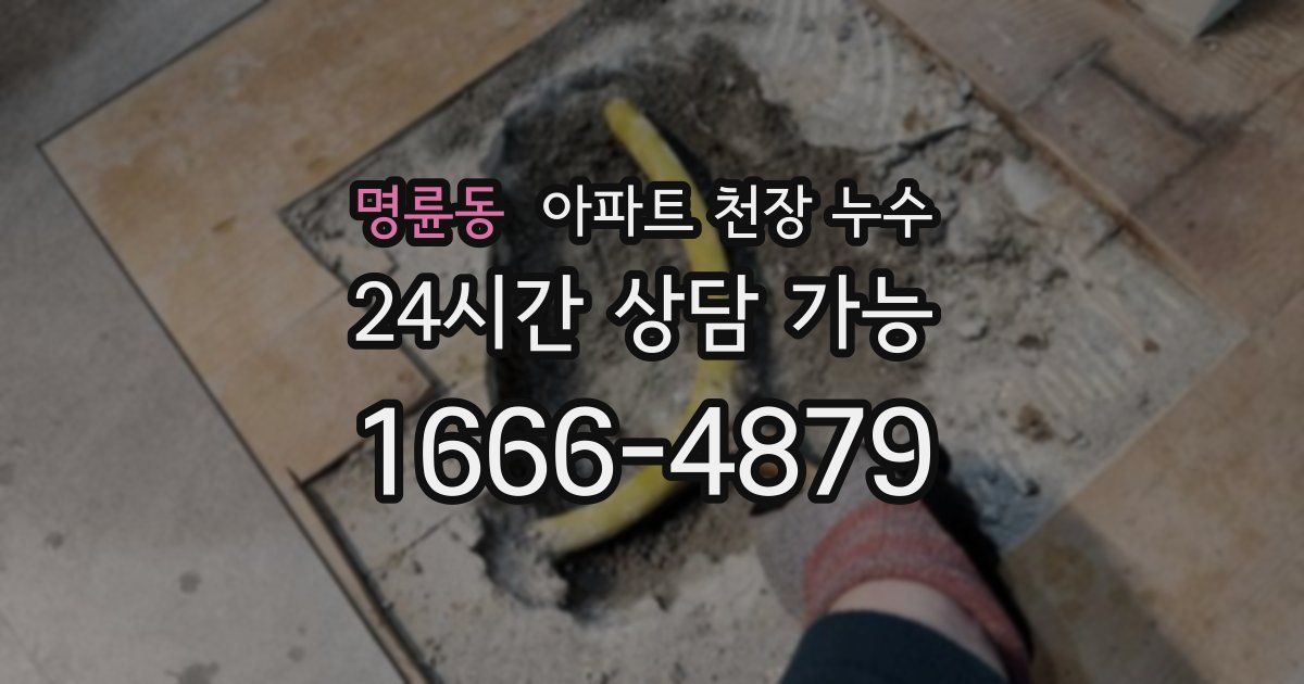 명륜동 아파트 천장 누수