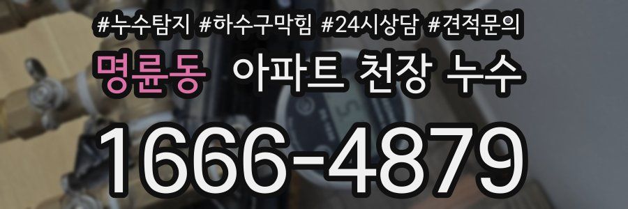 명륜동 아파트 천장 누수