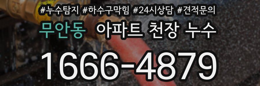 무안동 아파트 천장 누수