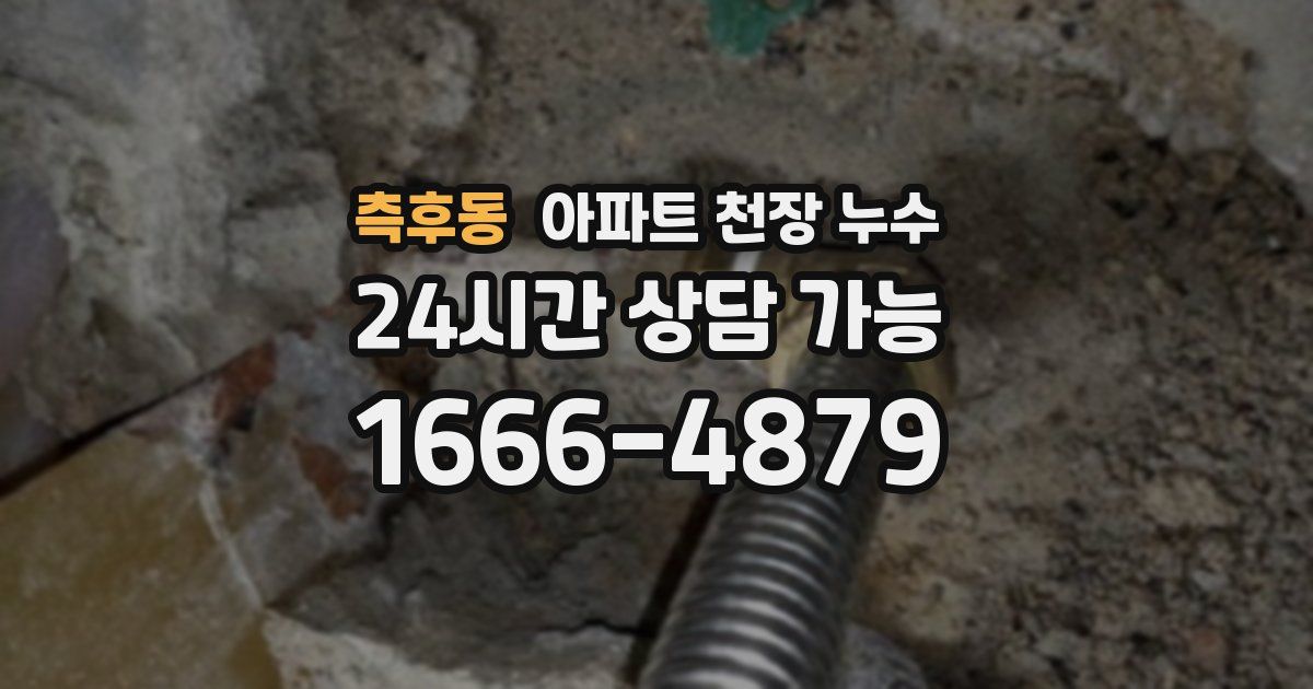 측후동 아파트 천장 누수