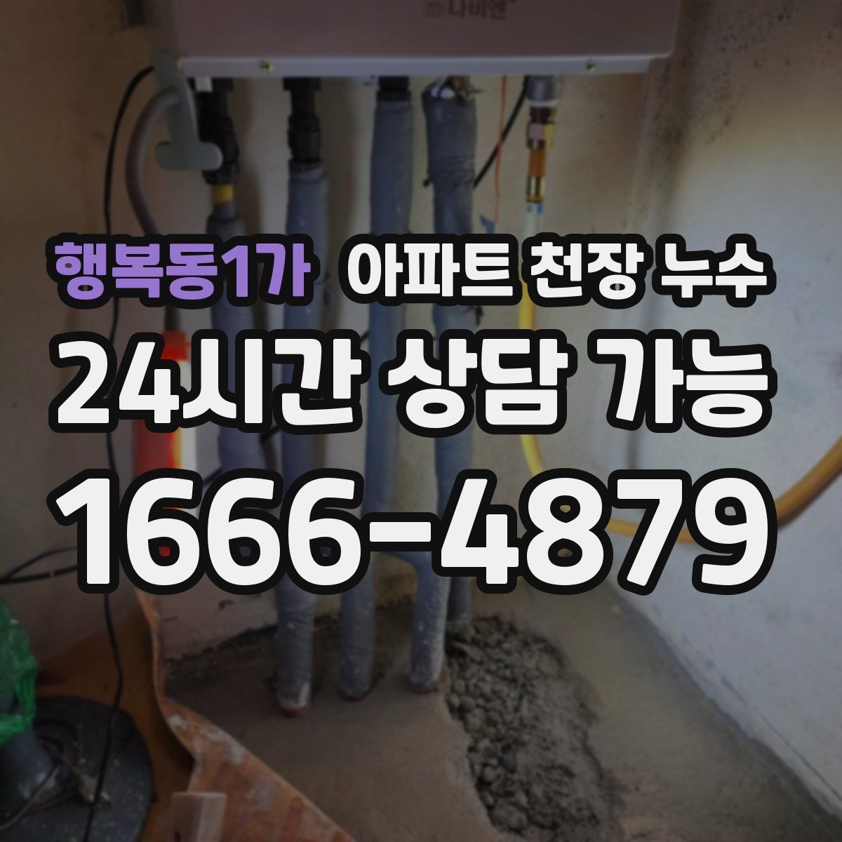 행복동1가 아파트 천장 누수