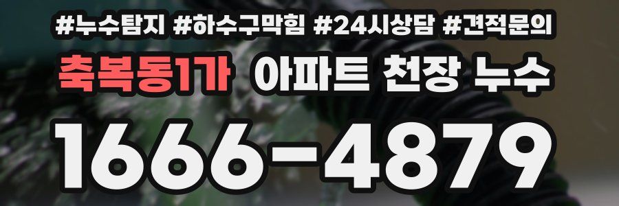 축복동1가 아파트 천장 누수