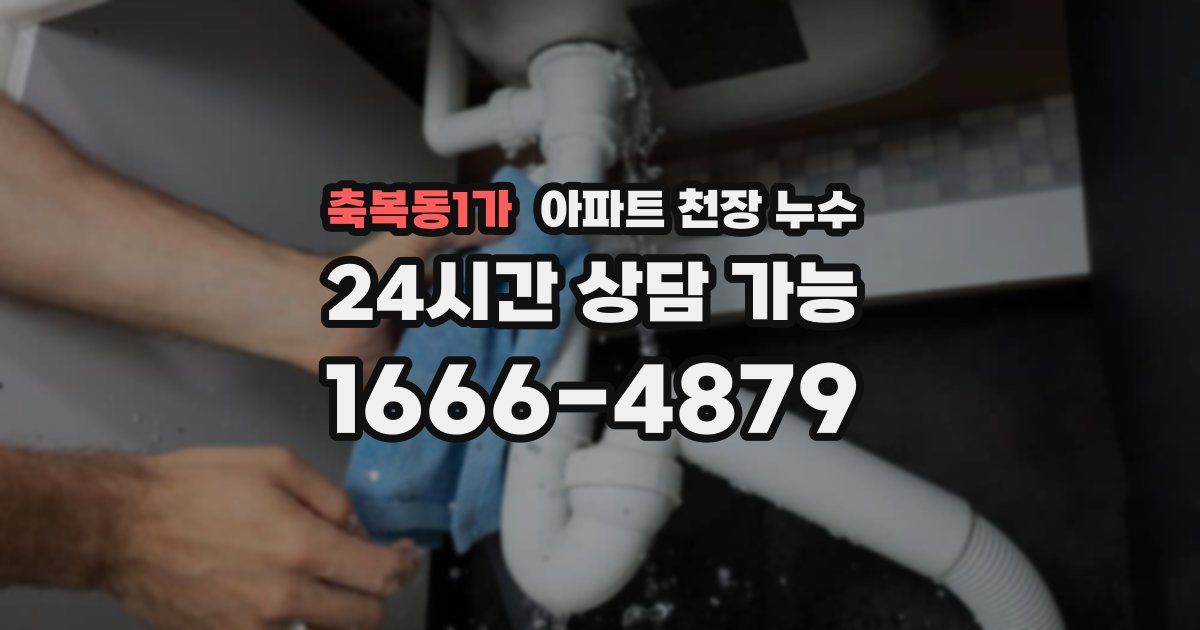 축복동1가 아파트 천장 누수
