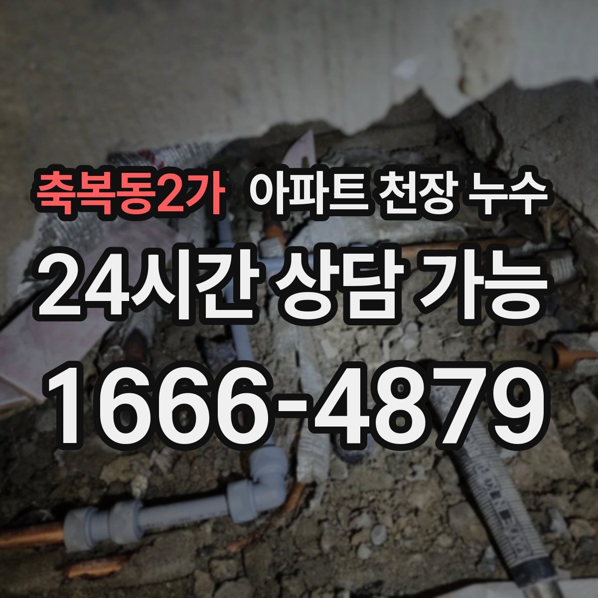 축복동2가 아파트 천장 누수