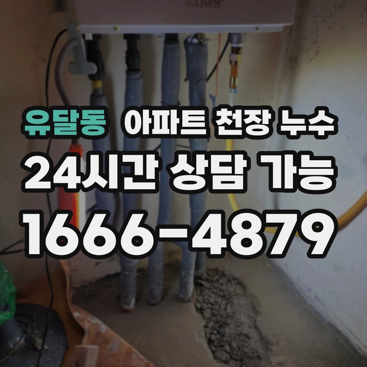 유달동 아파트 천장 누수
