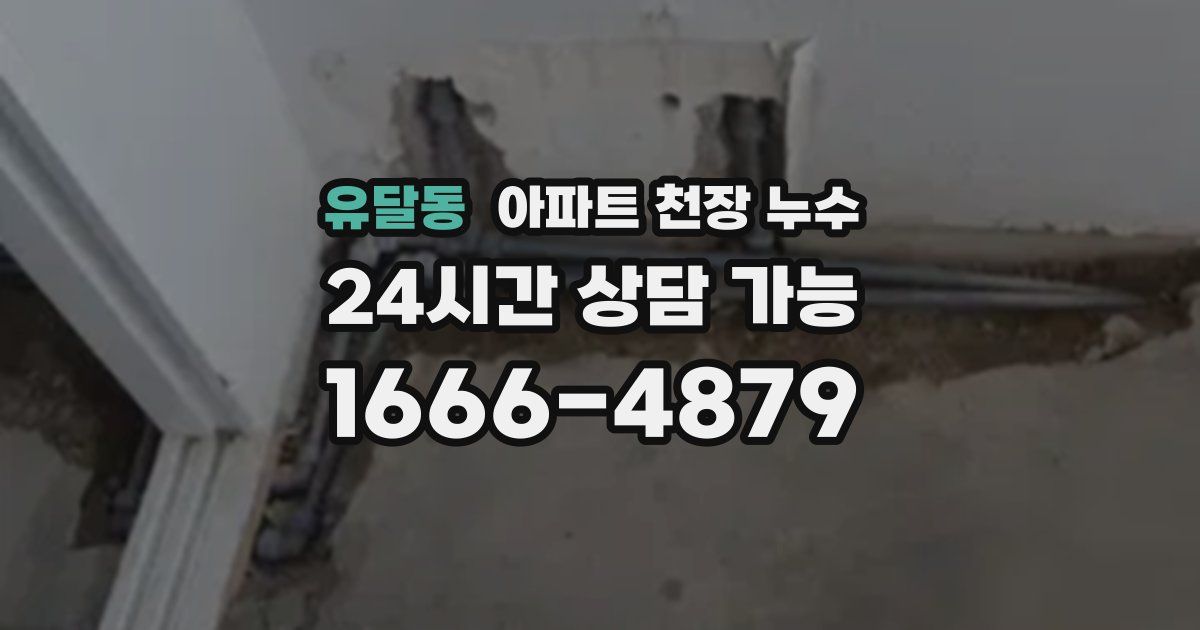유달동 아파트 천장 누수
