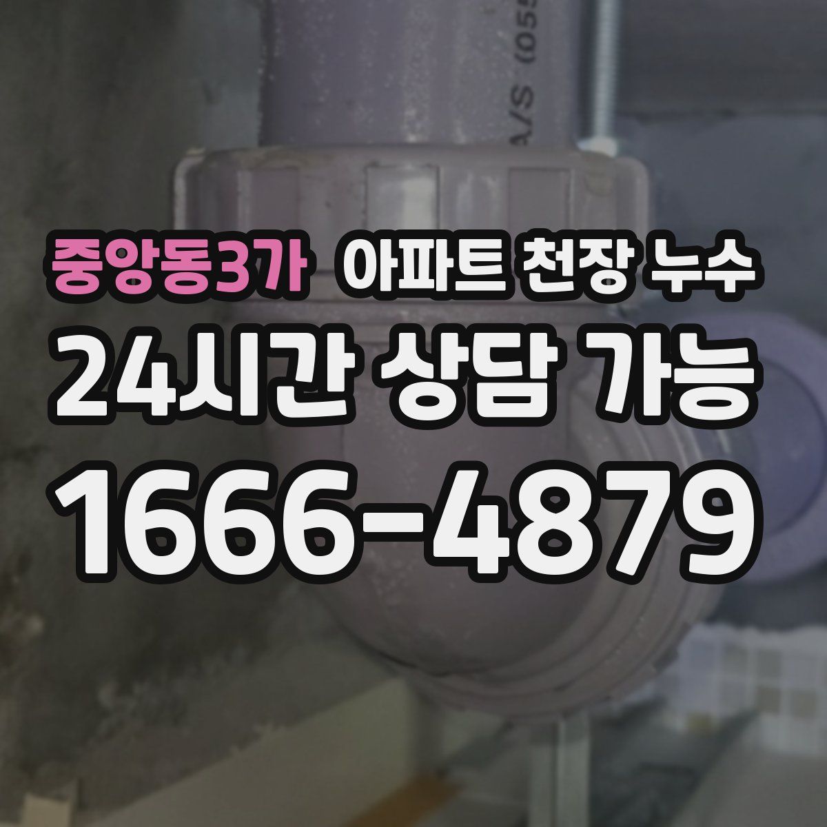 중앙동3가 아파트 천장 누수