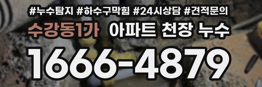 수강동1가 아파트 천장 누수