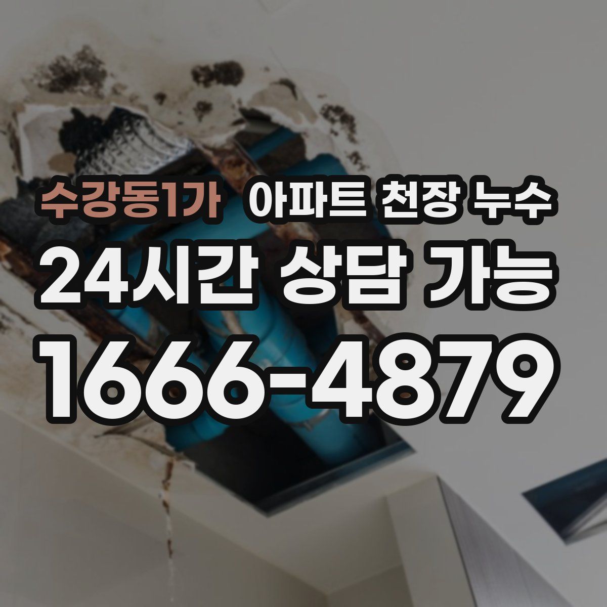 수강동1가 아파트 천장 누수