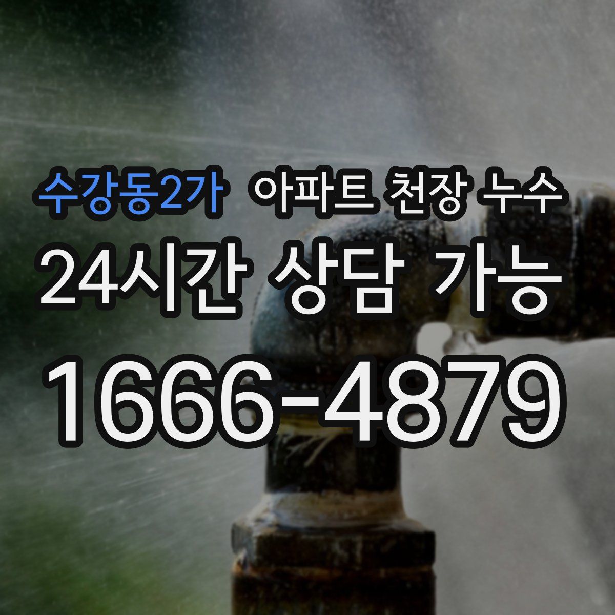 수강동2가 아파트 천장 누수