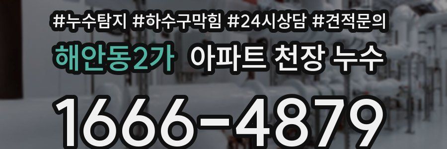 해안동2가 아파트 천장 누수