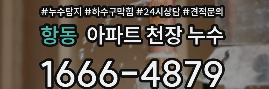 항동 아파트 천장 누수